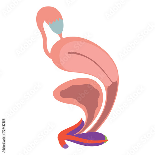 Detailed anatomical illustration of the female reproductive and urinary system. Includes uterus, bladder, vagina, and surrounding structures. Colorful and educational.