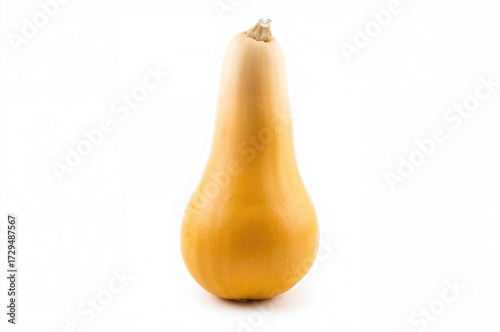 Isolated fresh butternut sq...