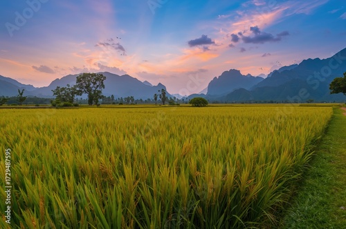Lush rice paddies framed by...