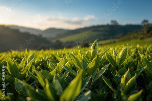 Close-up of vibrant green t...
