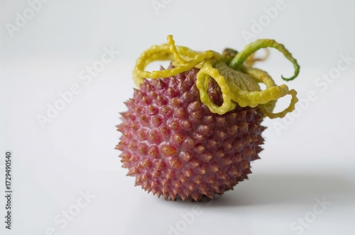 Entire Granadilla Against a...