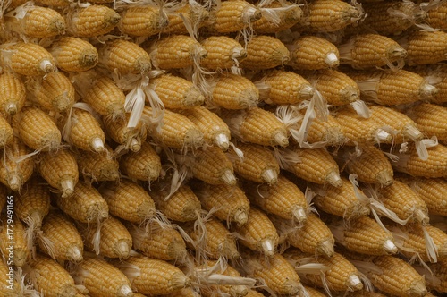 Background Texture of Fresh...