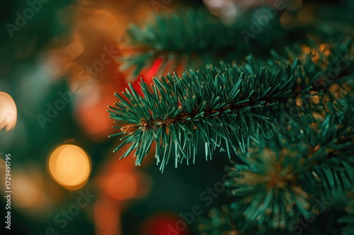 Close-up of a soft fir tree...