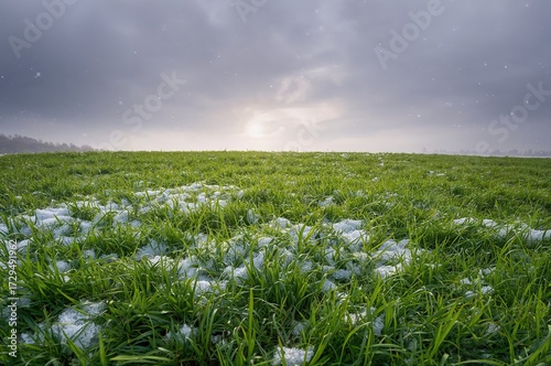 Fresh snow blankets vibrant...