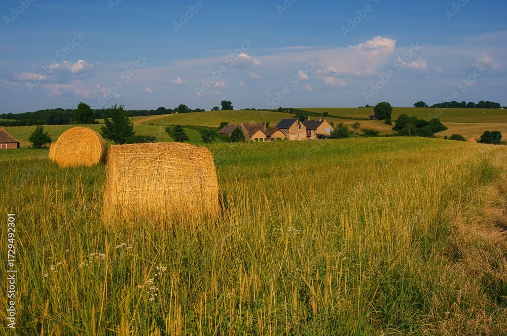 Fototapeta premium Sunlit stacks of hay in rural fields