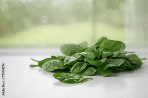 Vibrant young spinach foliage