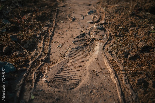 Imprint on muddy terrain, s...