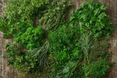 Top view of vibrant green c...