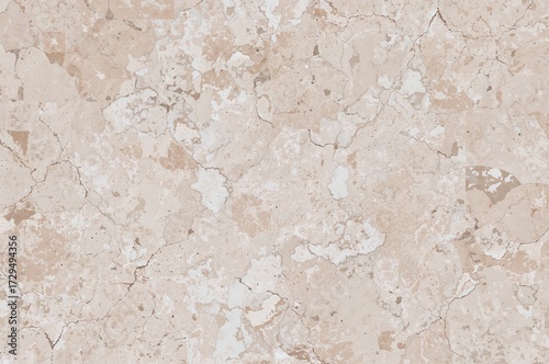 Ivory Cream Beige Terrazzo ...