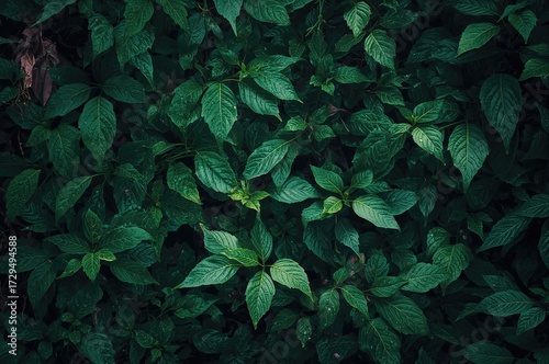 Natural leafy green pattern...