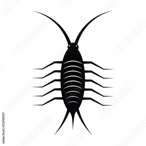 silhouette of a bug,  cockroach design vector,  cockroach design, black, white background, wing, detail, wildlife, beetle, small, close, malaria