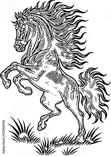 Rearing horse with flowing mane in grassy field