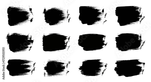 Collection of Twelve Black Abstract Brush Strokes Isolated on White Background Textured Artistic Elements