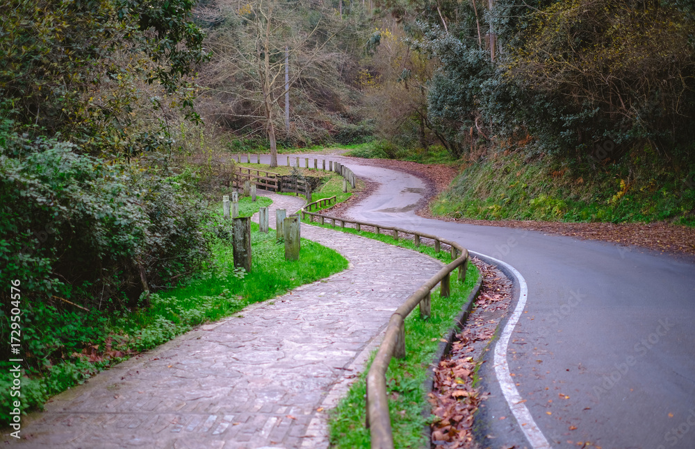 Naklejka premium A tranquil, scenic outdoor shot featuring two winding paths leading through a lush green forest in the autumn or late fall