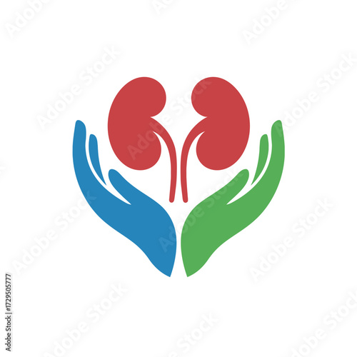 Hands gently caring for red kidneys symbolizing health and protection.