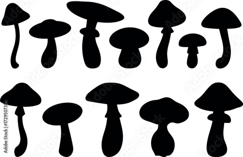 Black and white vector graphic with mushroom silhouettes various shapes