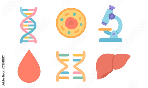 Scientific elements in flat design: dna, cell, microscope, blood drop, liver