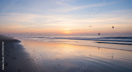 Sunrise over the beach with birds flying around