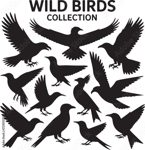 Vector Collection of Wild Bird Silhouettes