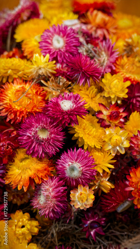 Red and yellow flowers in the pot