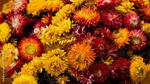 Red and yellow flowers in the pot