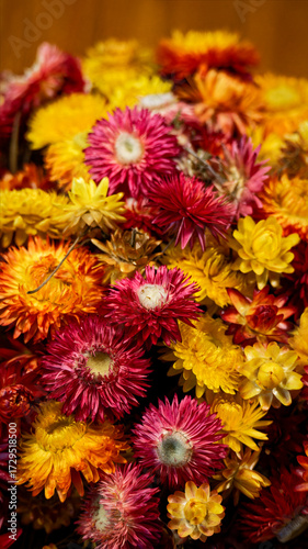 Red and yellow flowers in the pot