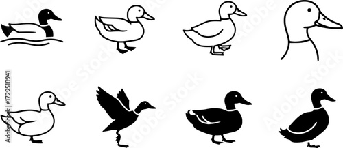 Set of Duck Vector Icons
