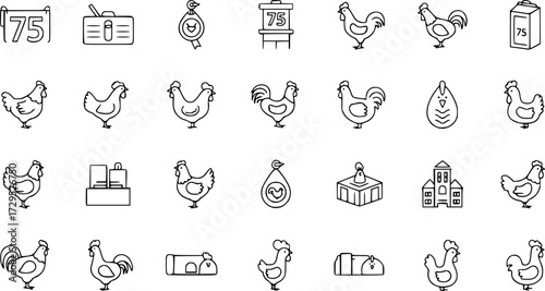 Set of Chicken Vector Icons
