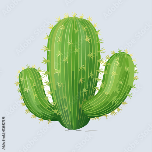 joli cactus isolé, fond clair uni