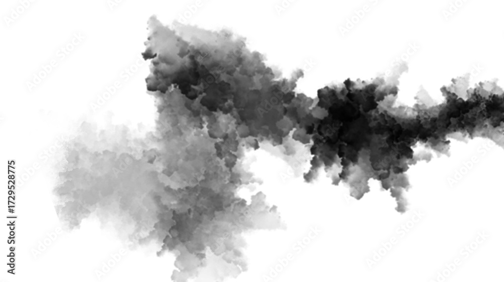 Fototapeta premium black smoke on white transparent background