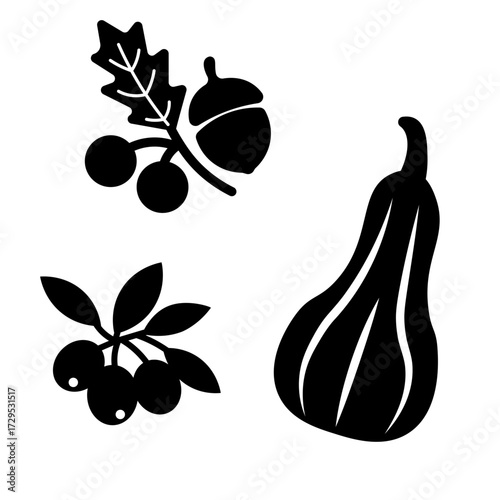 どんぐりと木の実とウリの秋の収穫シルエットイラストセット