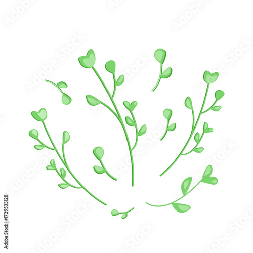 Fresh microgreen leaves. Flat vector illustration. Sprouts arugula, radish, fenugreek, sunflower isolated on white background. Sprouting seeds of a plant. Vitamin supplement, vegan food.