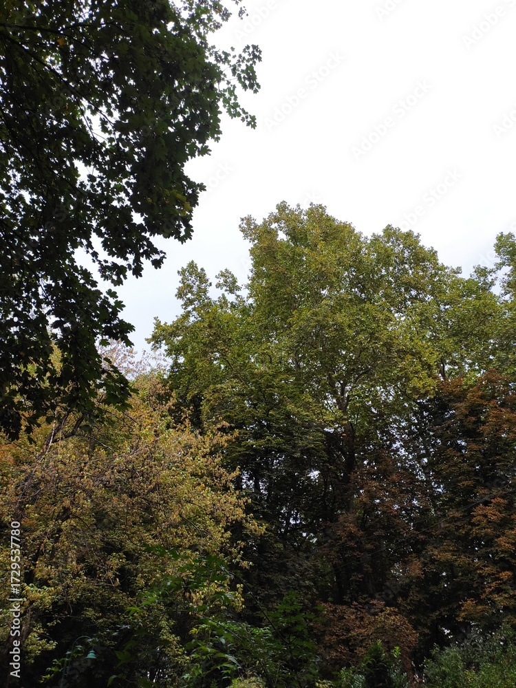 Fototapeta premium Beautiful nature photos