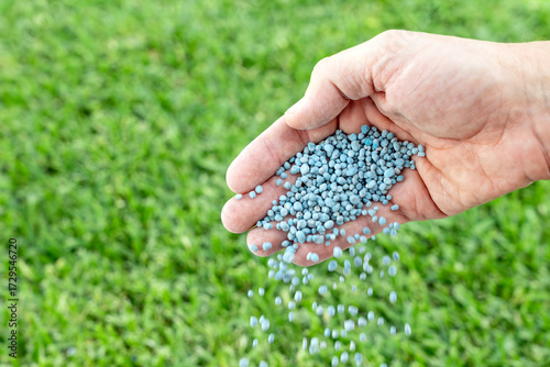 Close-up of hand spreading npk fertilizer granules on lawn.