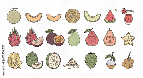 Exotic Fruits and Juices Vector Clipart