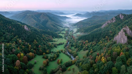 Lush Autumn Valley Landscape Featuring Dense Forest Green Meadow White Mist and Rugged Cliffs at Sunrise with a Soft Hazy Sky
