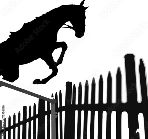 The horse is jumping over the fence.