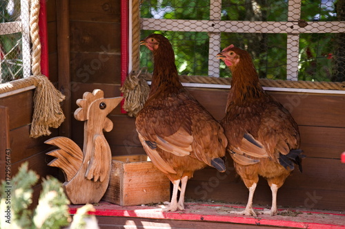 Dwie kury obok drewnianej ozdoby koguta © Piotr