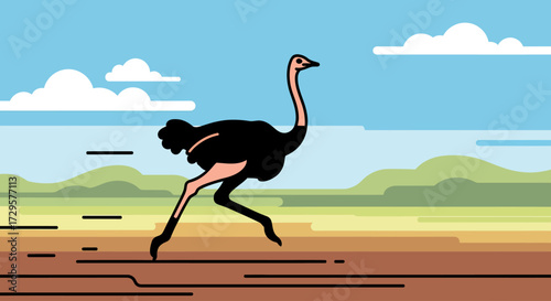 ostrich in the desert