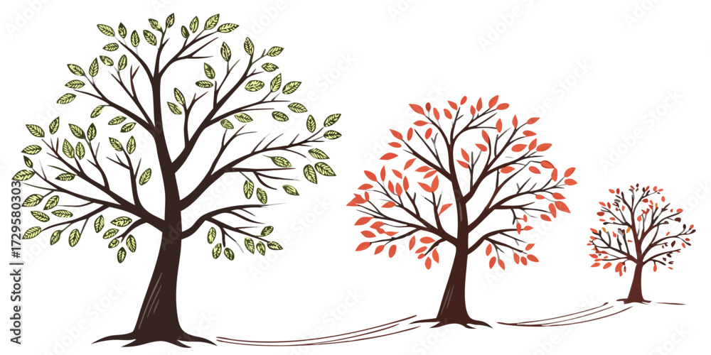 Obraz premium Minimalist Tree Set – Spring, Summer, Autumn, Winter, Isolated Vector & PNG
