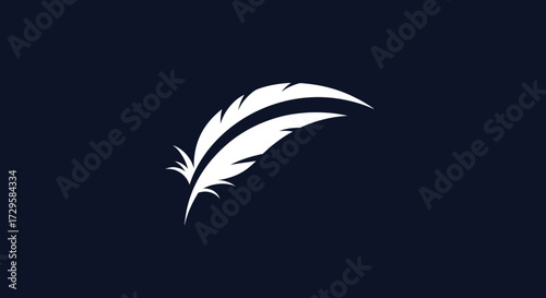 Elegant White Feather on Dark Background: Symbol of Lightness and Freedom.