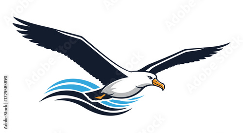 Flying Albatross Bird Over Water.
