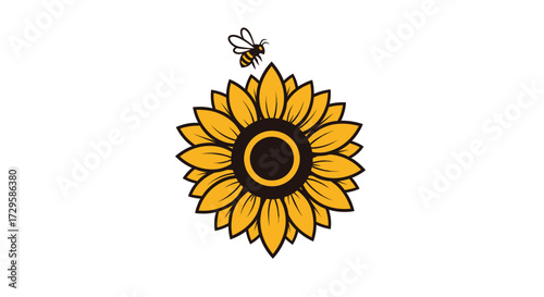 Sunflower with a bee flying above it a beautiful summer scene.