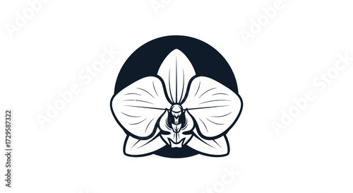 Elegant black and white orchid flower illustration.
