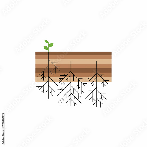 Illustration depicting plant roots extending into the soil, with a sprout emerging from the ground.