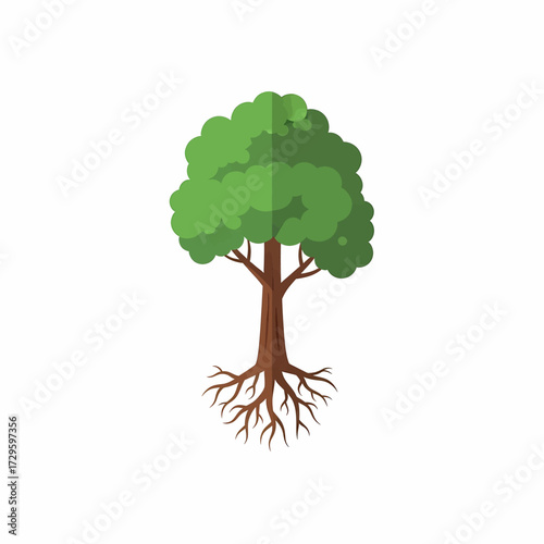 A stylized illustration of a deciduous tree with a full green canopy and visible brown roots spreading outwards against a white background.