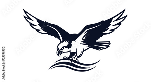 Osprey bird diving powerful wings sharp talons fierce gaze.