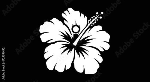 Simple White Hibiscus Flower Stencil Art Isolated.
