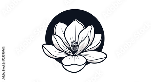 Elegant black and white magnolia flower illustration.