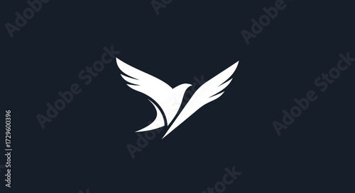Elegant white bird soaring gracefully against a dark background symbol of freedom.